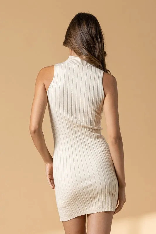 Ribbed Knit Mini Dress